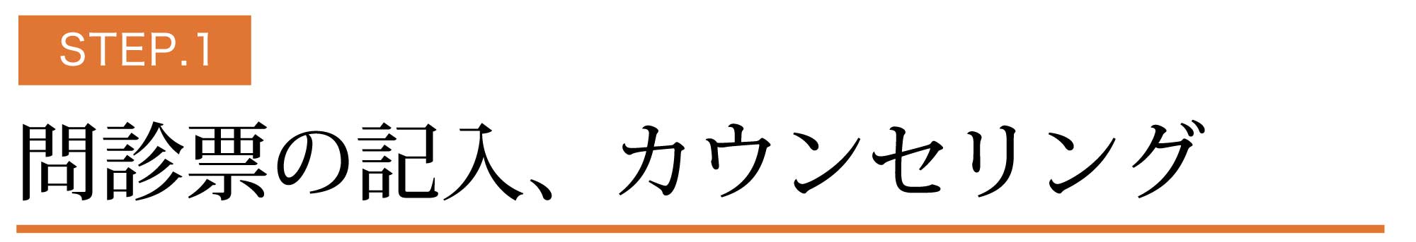 問診票の記入、カウンセリング